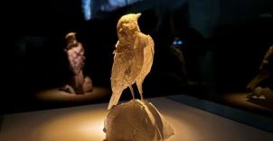 Petri Kaverma: Raportteja, 2025. 3D-tulostettu pikkulintu valaistuna lasivitriinissä keskellä pimeää.