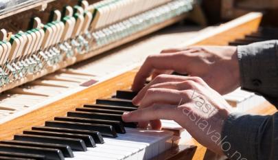 pianistin sormet