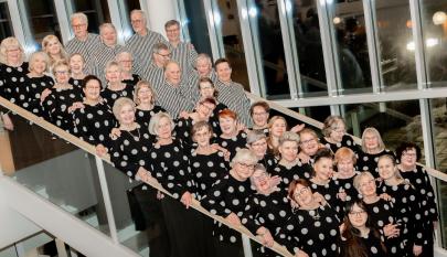 Karelia Singersin laulajat seisovat rappusilla.