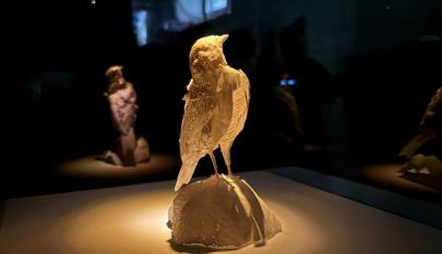 Kolmiulotteisen tulostuksen avulla tuotettu lintuesine valaistuna vitriinissä.