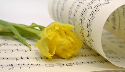 Kukka ja nuottipaperi