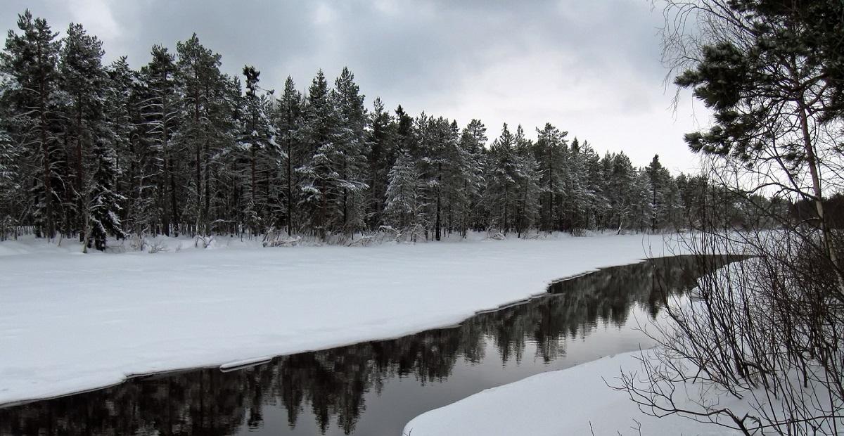 Suomen luonto