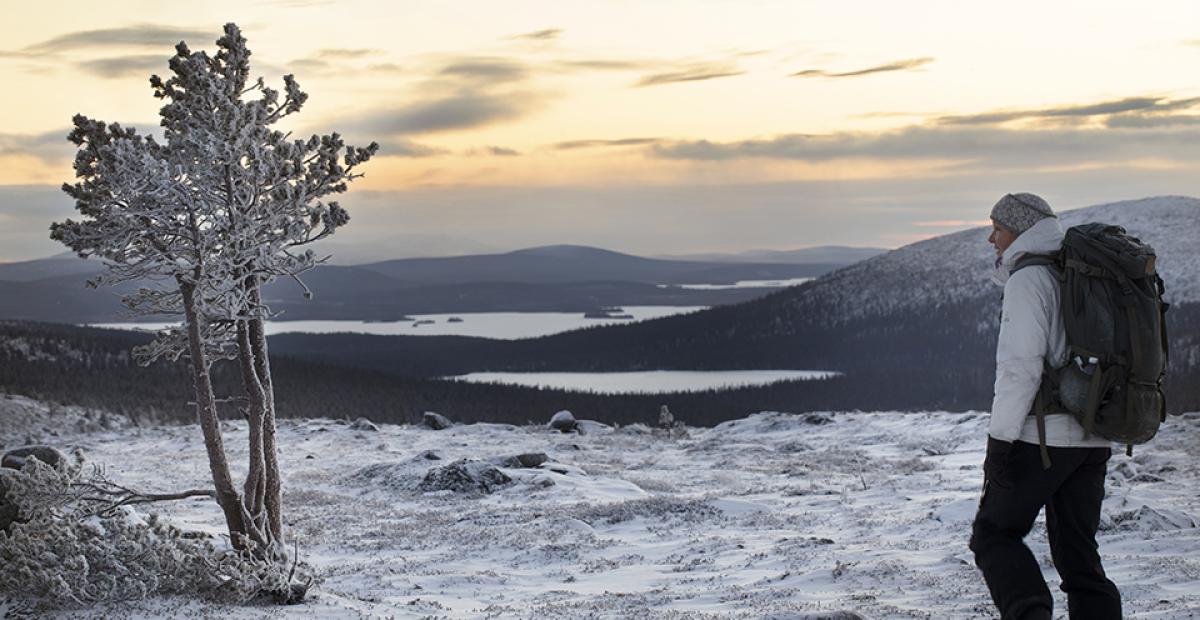 Tea Karvinen Pallas-Yllästunturin kansallispuistossa. Kuvaaja Tea Karvinen