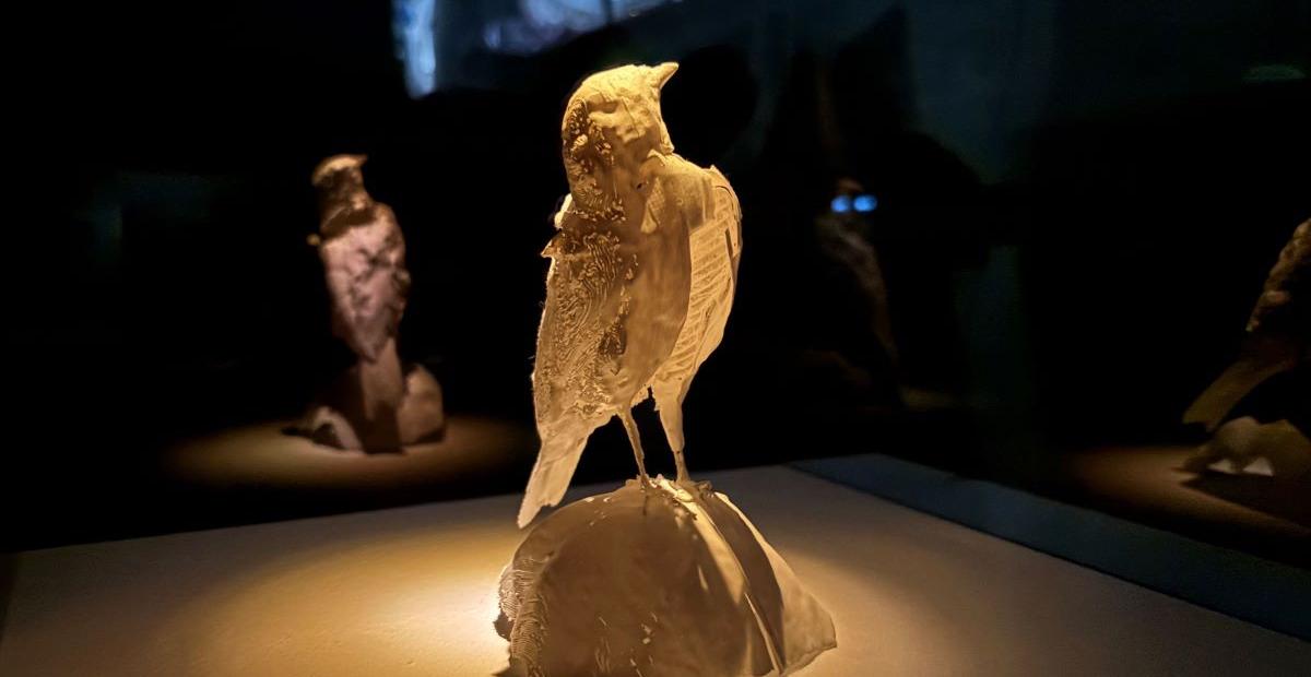 Petri Kaverma: Raportteja, 2025. 3D-tulostettu pikkulintu valaistuna lasivitriinissä keskellä pimeää.