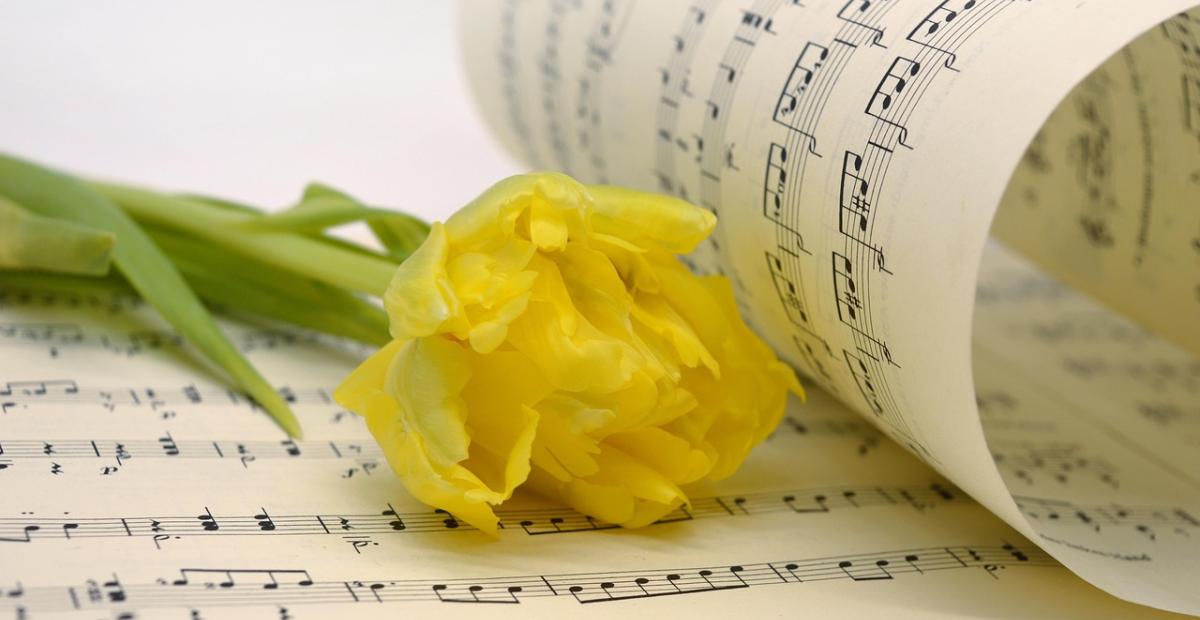 Kukka ja nuottipaperi