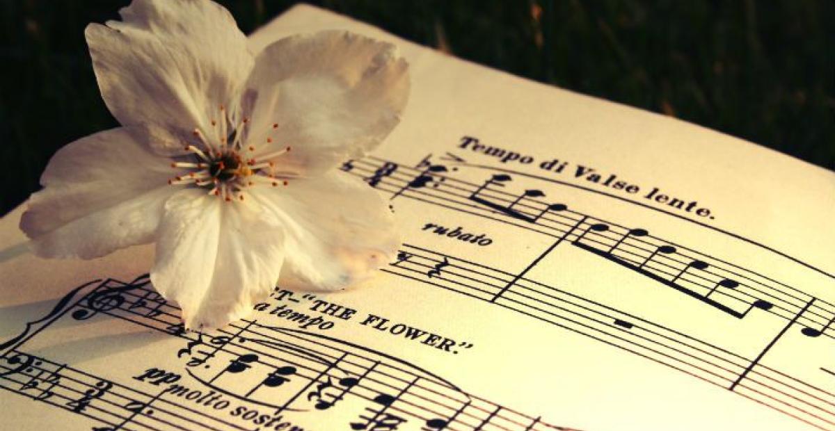 Nuottipaperi ja kukka